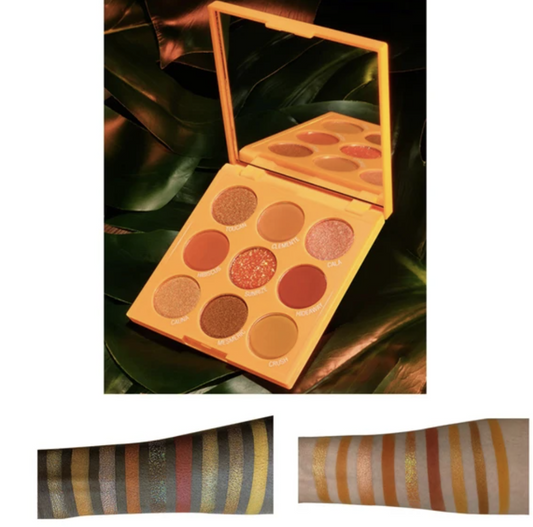 Paradise Love Orange 9 Color Eyeshadow